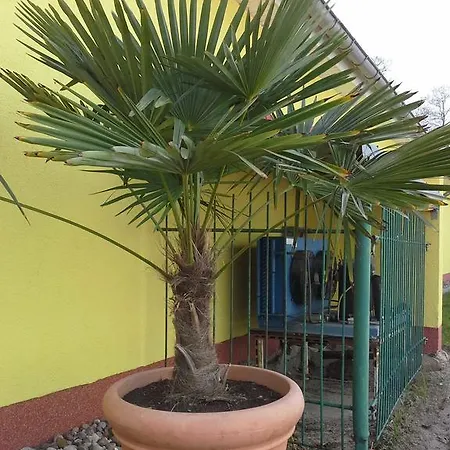 Apartment Strandidyll 8